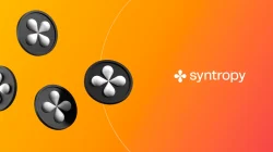 Syntropy Bermitra Dengan Zenlayer Untuk Memberikan Bandwidth Sesuai Permintaan Kepada Pengguna Web3